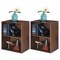 2Pcs 2 Tier Open Shelf Night Stand End Table Sofa Side Storage Display Walnut